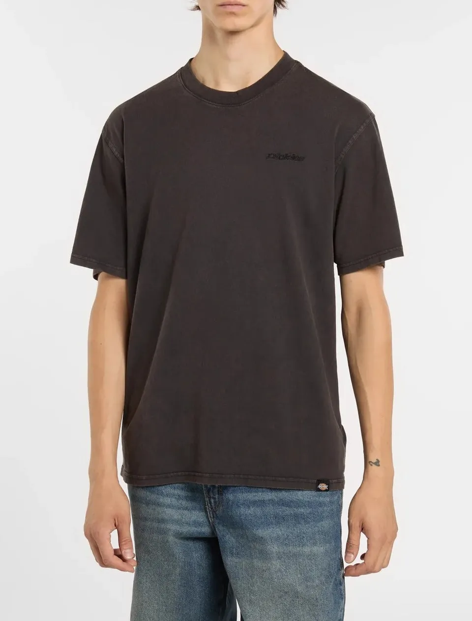 Dickies Plentywood DK0A866B T-shirt nera cotone regular