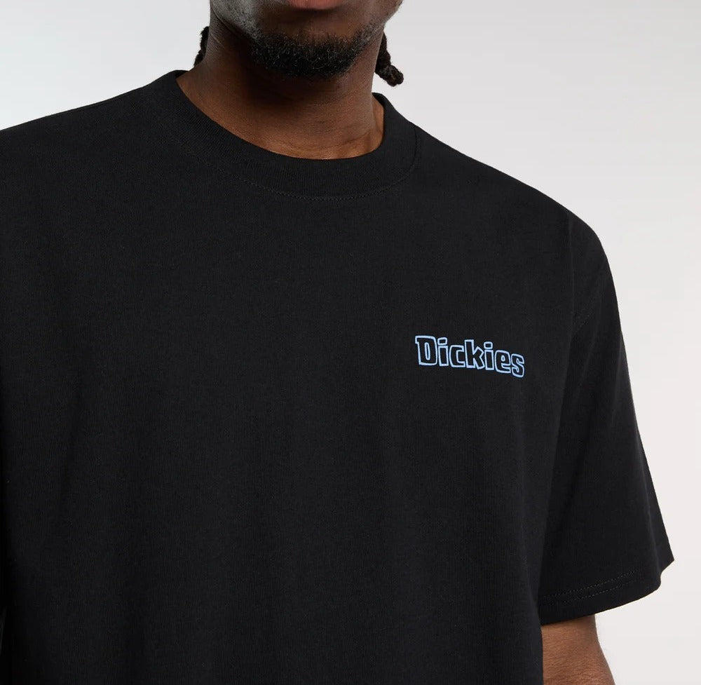 Dickies Fairlawn DK0A88GE T-Shirt Uomo Nero Cotone