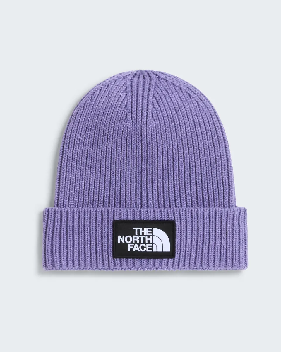 The North Face Logo Box NF0A8CGU berretto grounded plum bimbo