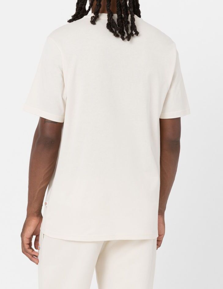 Dickies Mapleton DK0A4XDB t-shirt uomo gray cotone