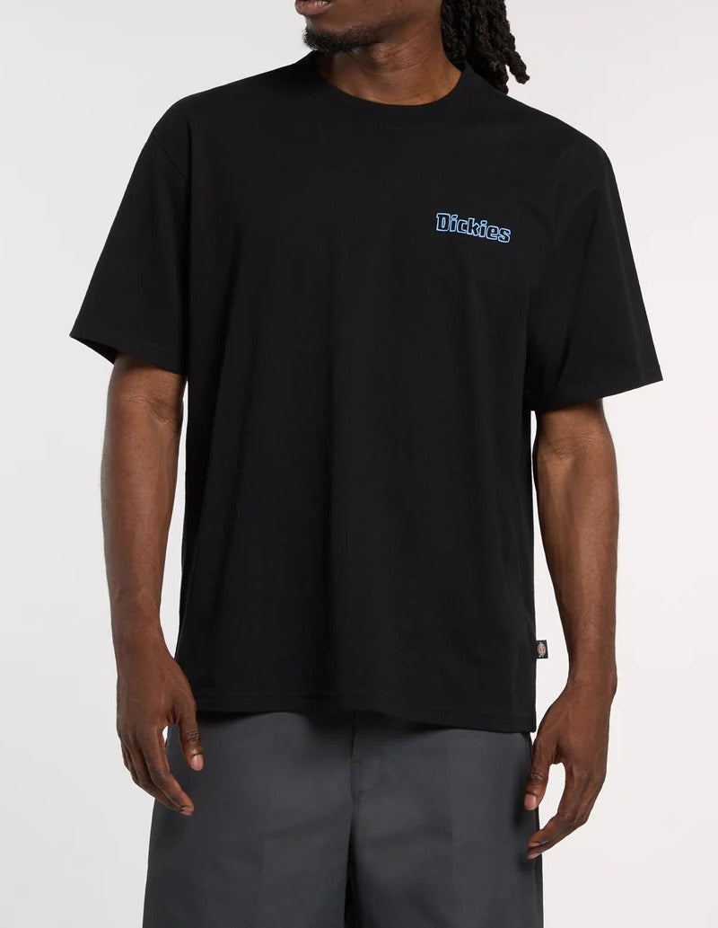 Dickies Fairlawn DK0A88GE T-Shirt Uomo Nero Cotone