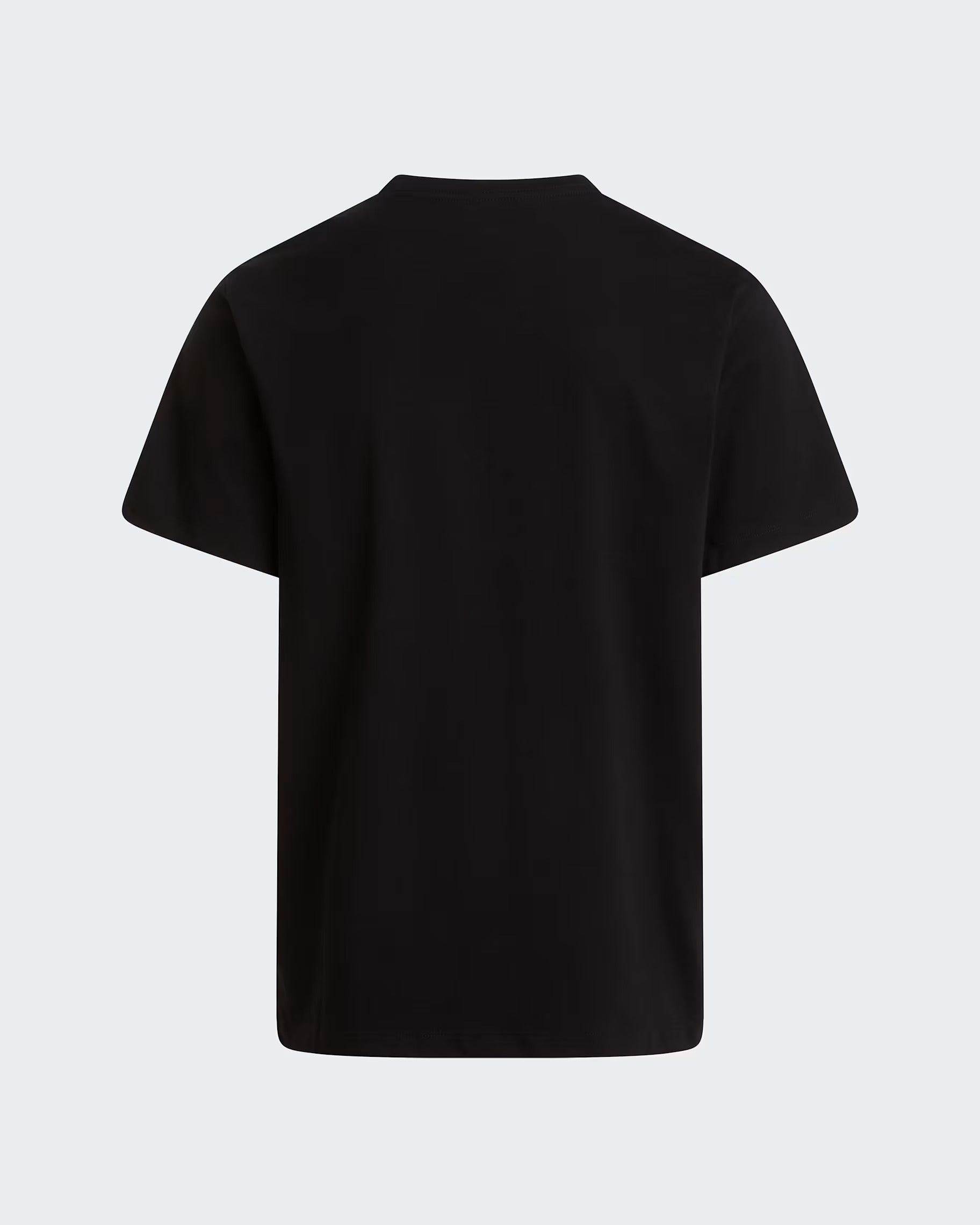 The North Face Evolution NF0A8CZ2 T-Shirt Uomo Nero Cotone
