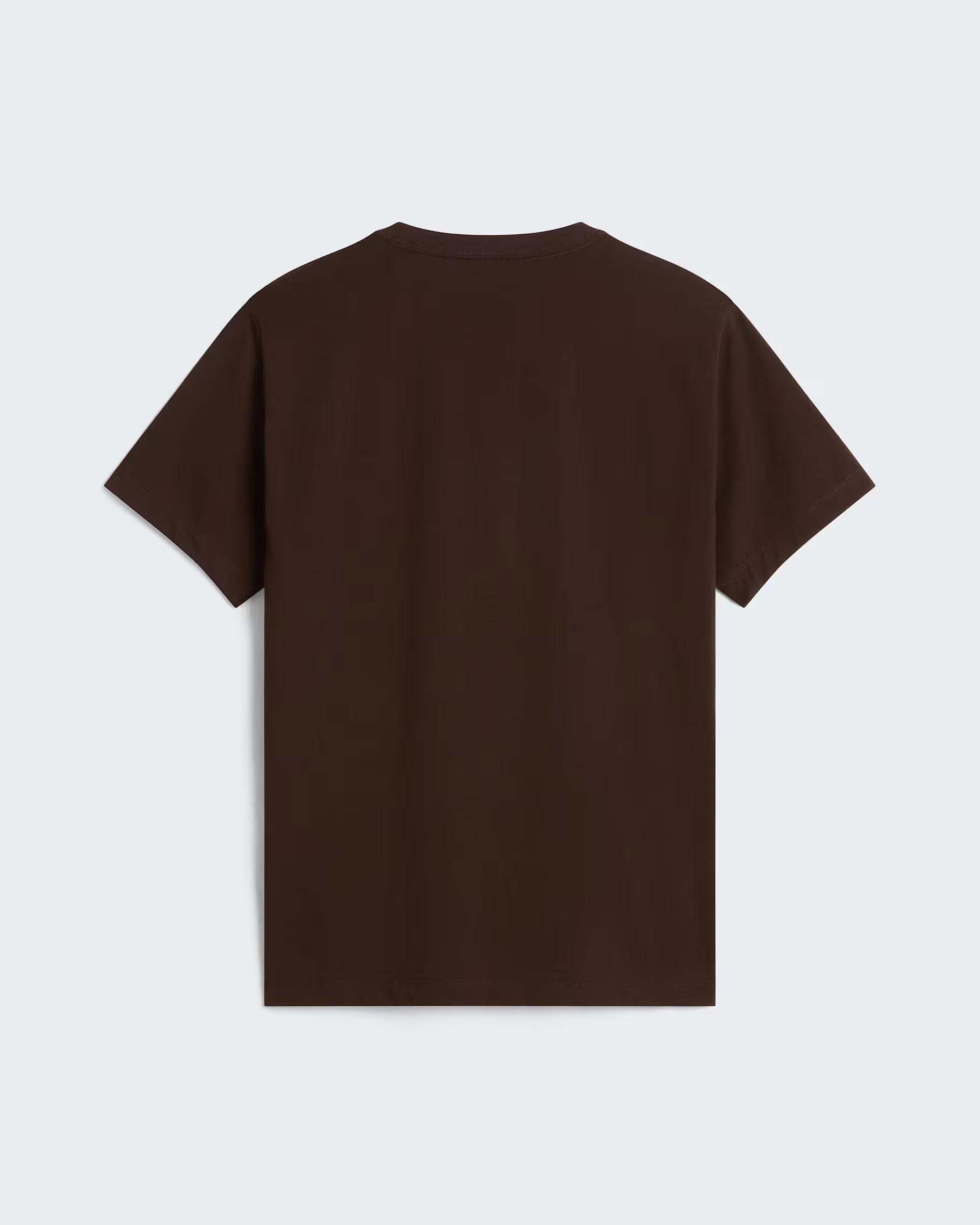 The North Face Evolution Simple Dome NF0A8CZ2 t-shirt Dark Chestnut