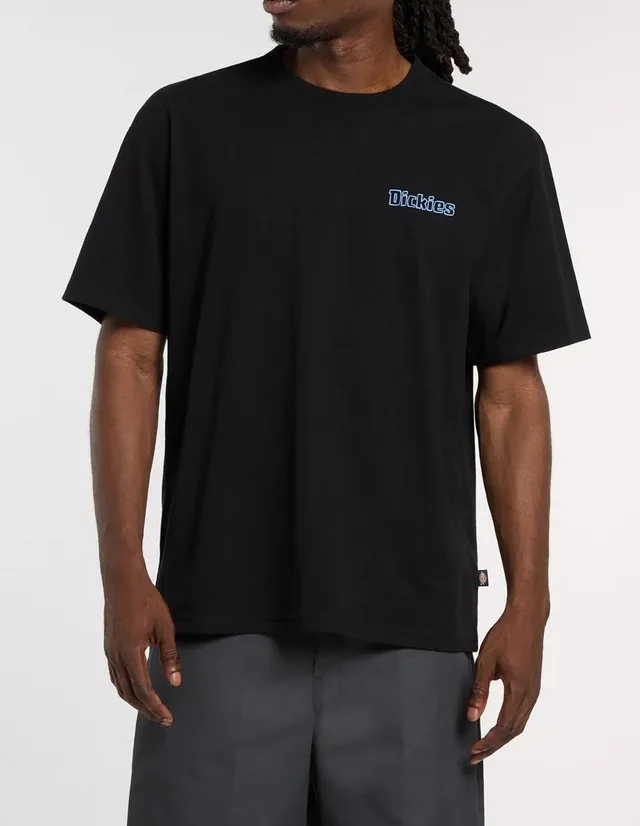 Dickies Fairlawn DK0A88GE T-Shirt Uomo Nero Cotone