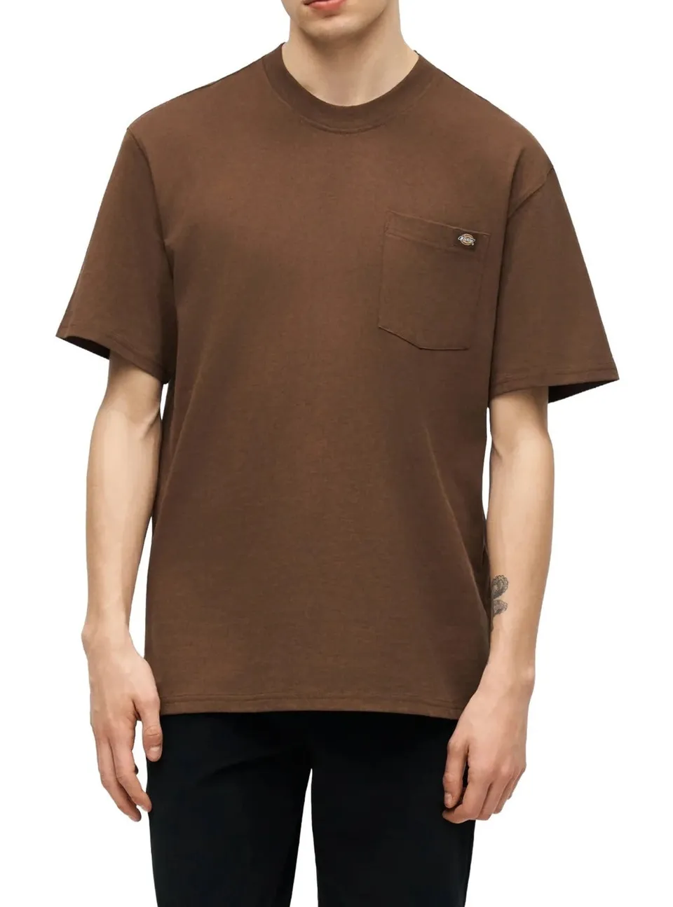 Dickies DK0A4YFC Luray t-shirt cotone brown