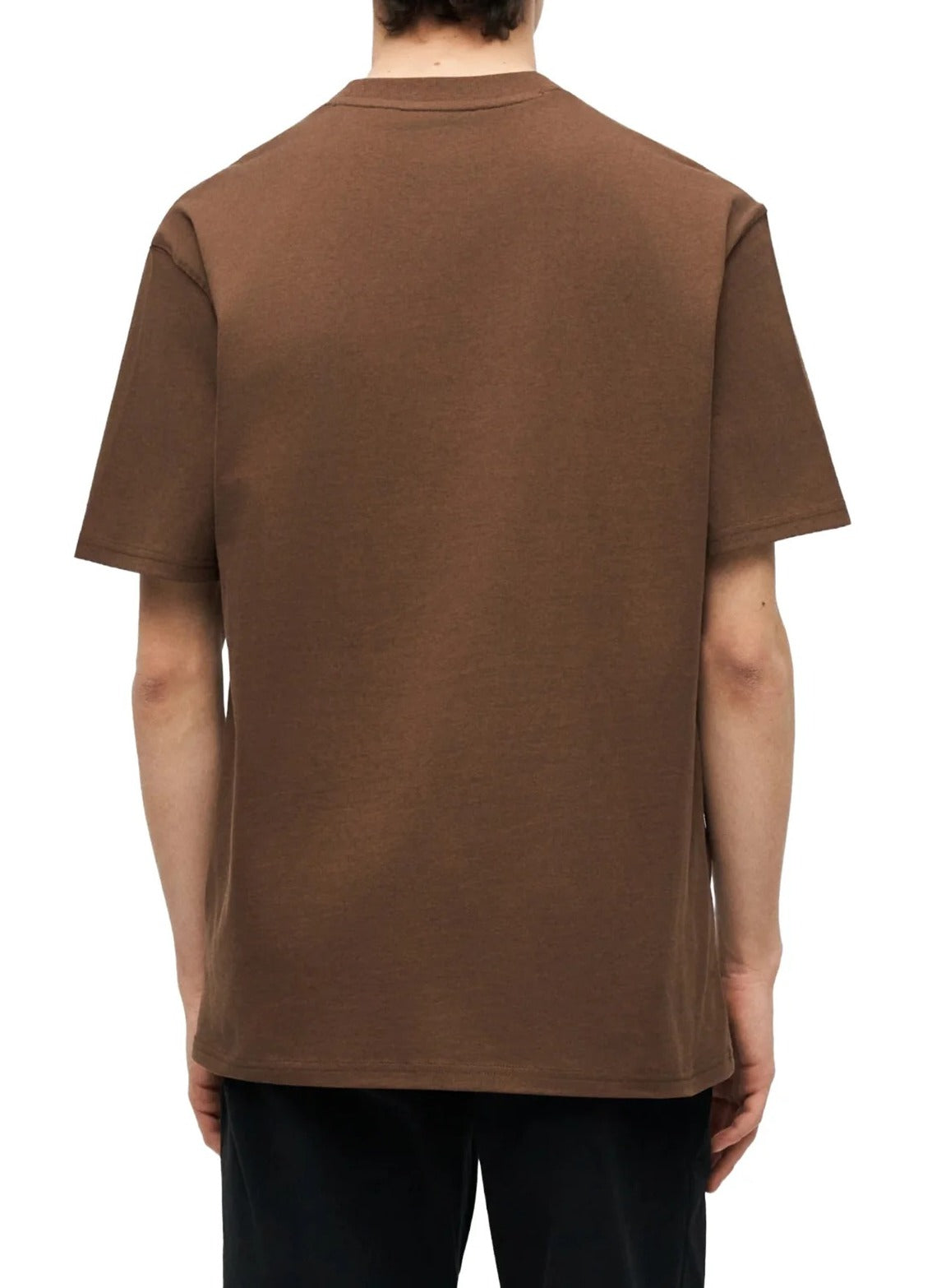 Dickies DK0A4YFC Luray t-shirt cotone brown