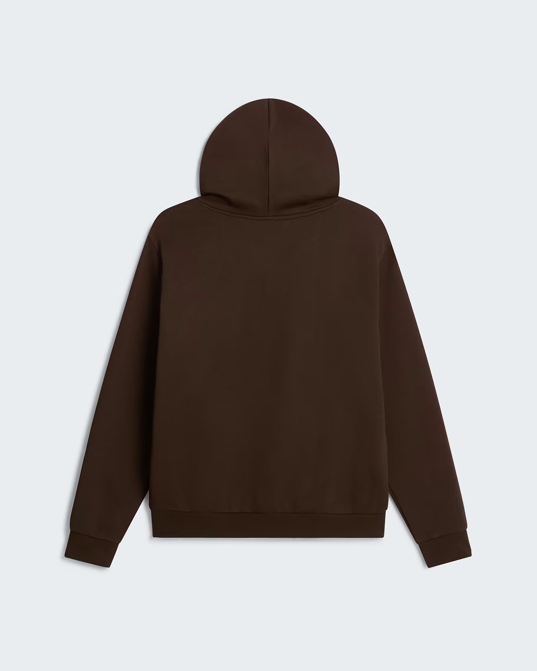 The North Face Evolution Simple Dome Felpa Uomo Chestnut