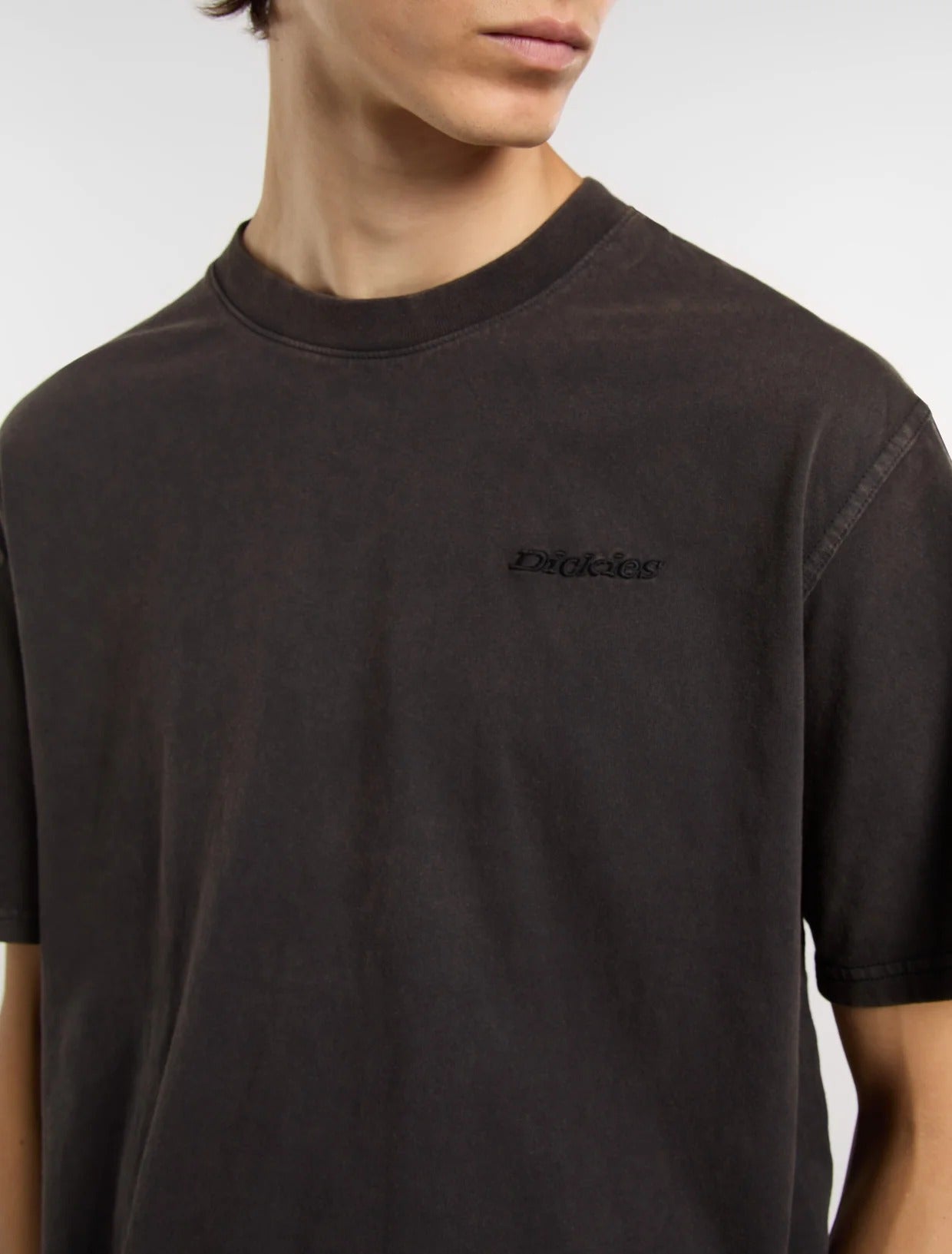 Dickies Plentywood DK0A866B T-shirt nera cotone regular
