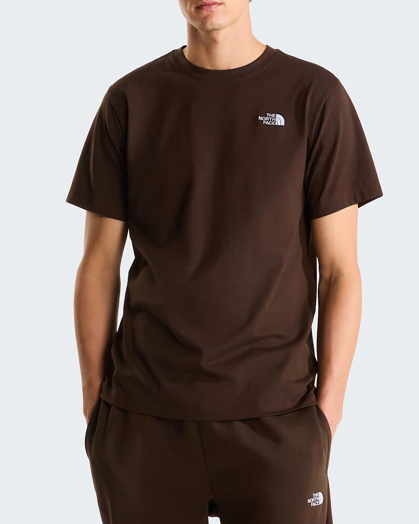 The North Face Evolution Simple Dome NF0A8CZ2 t-shirt Dark Chestnut