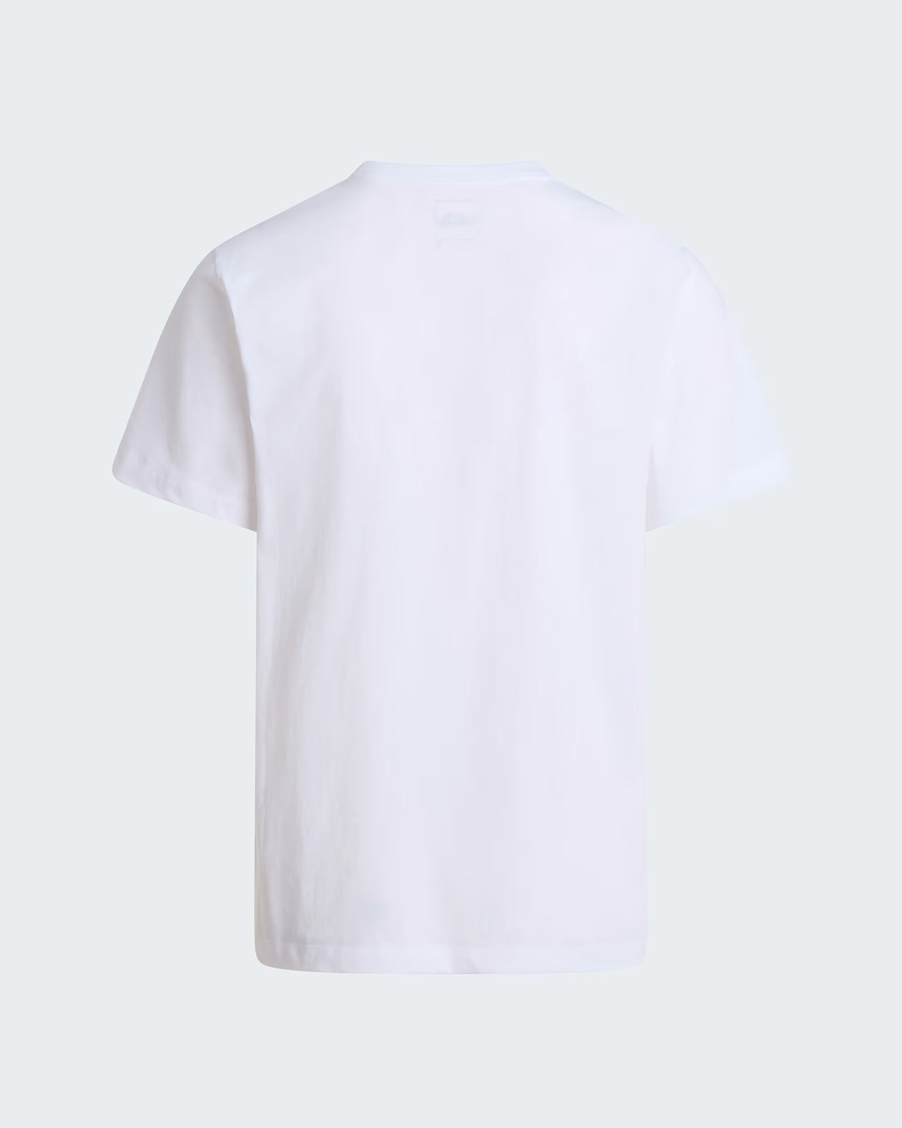 The North Face Evolution NF0A8CZ2 T-Shirt Tnf White