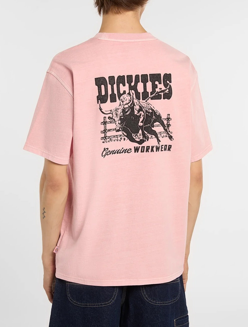 Dickies Buchtell DK0A883 t-shirt uomo rosa cotone grafica
