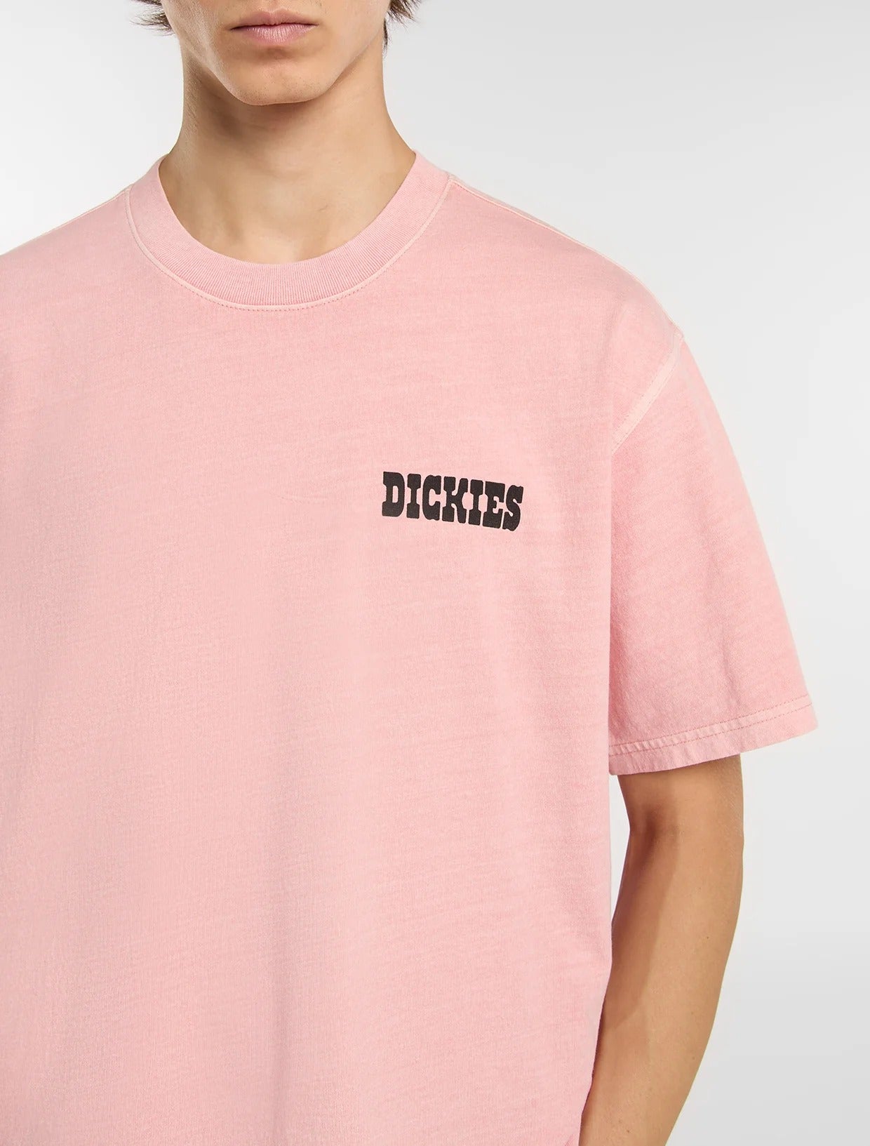 Dickies Buchtell DK0A883 t-shirt uomo rosa cotone grafica